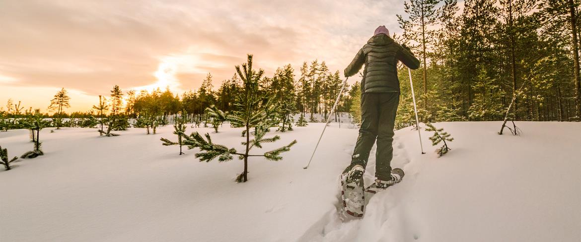 Snowshoe hike