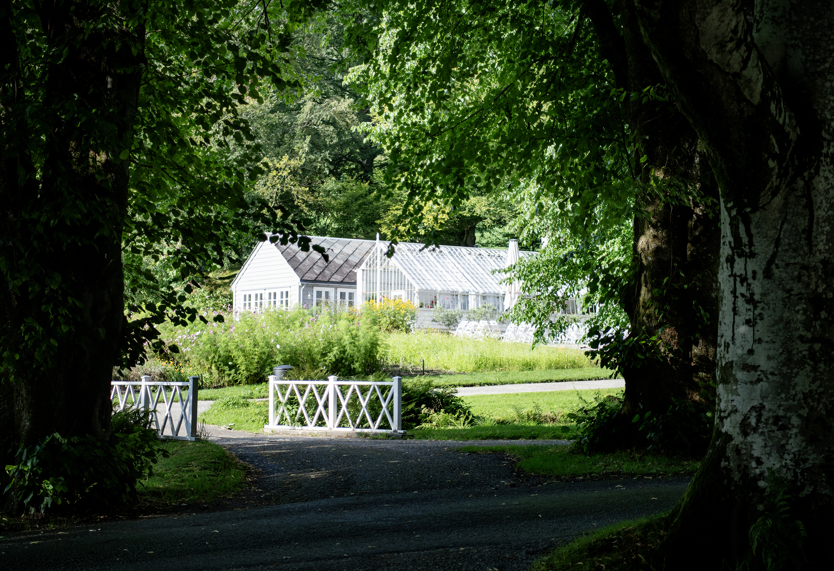 Hageseminar - 350 år med tre i Rosendal Have