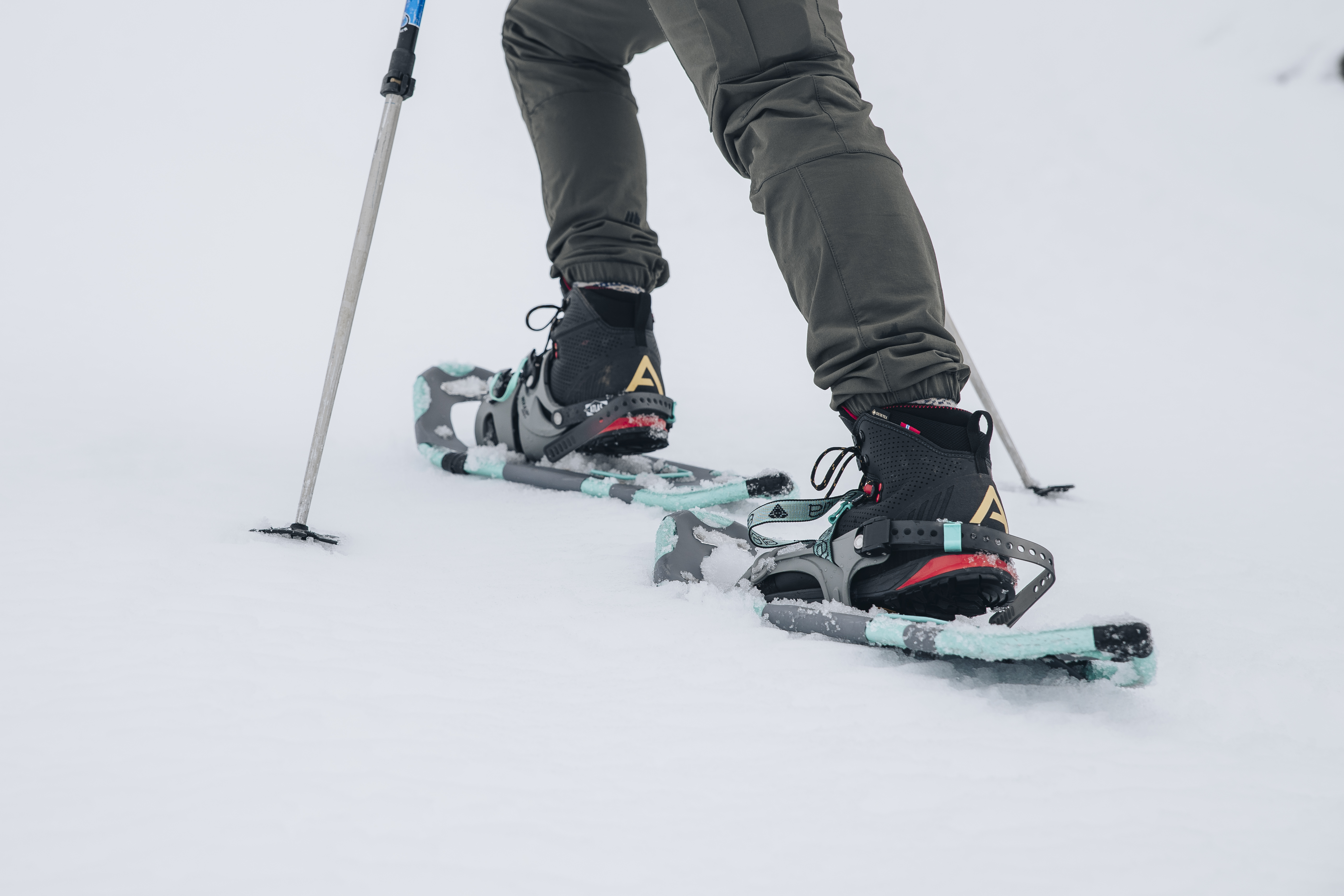 Guided snowshoe tour at the Hardangervidda