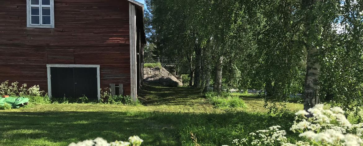 Sommar vid garveriet
