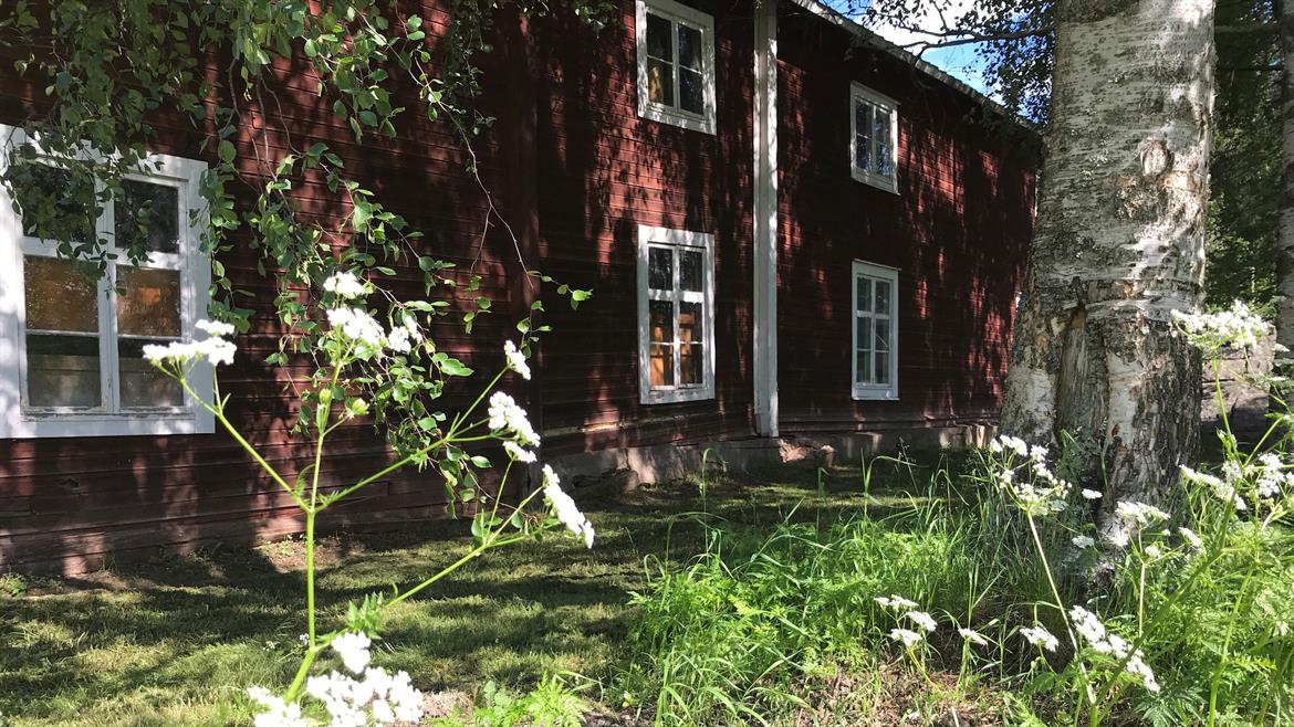 Blommor vid Sjulnäs garveri