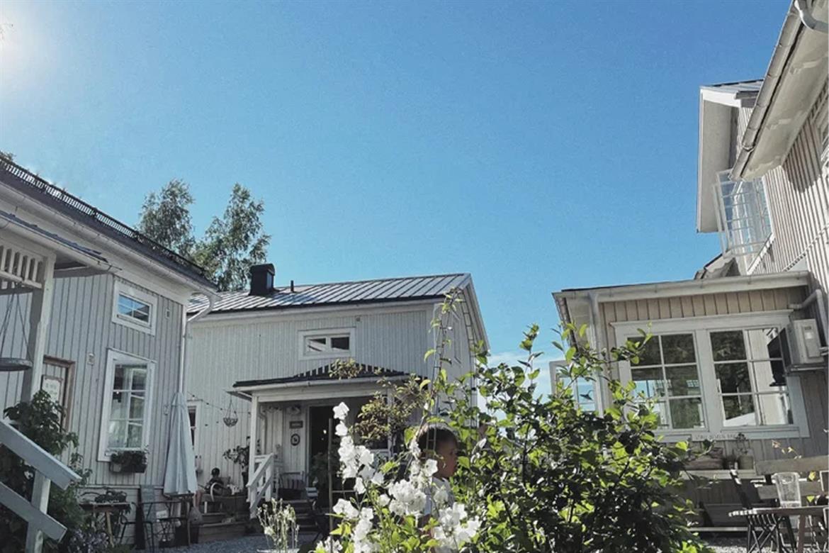 Trädgården