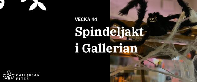 Spindeljakt i Gallerian