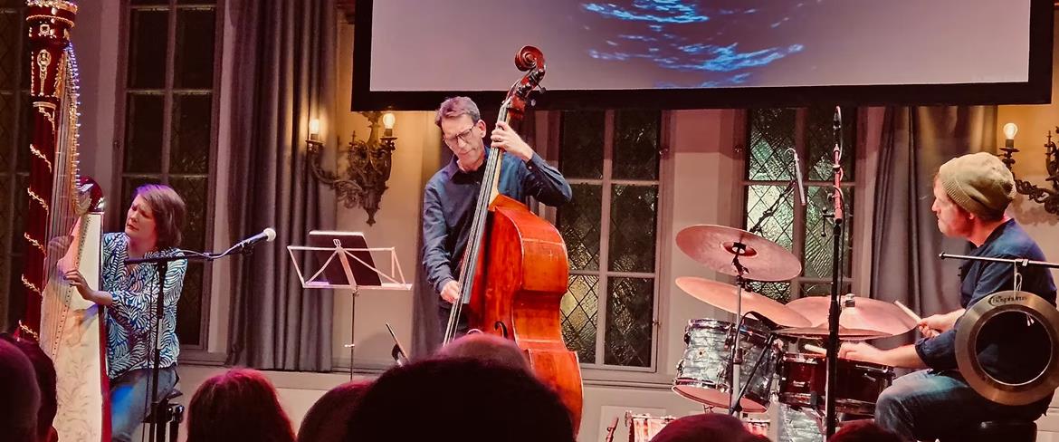 Stina Hellberg Agback Trio JIP 1170x488