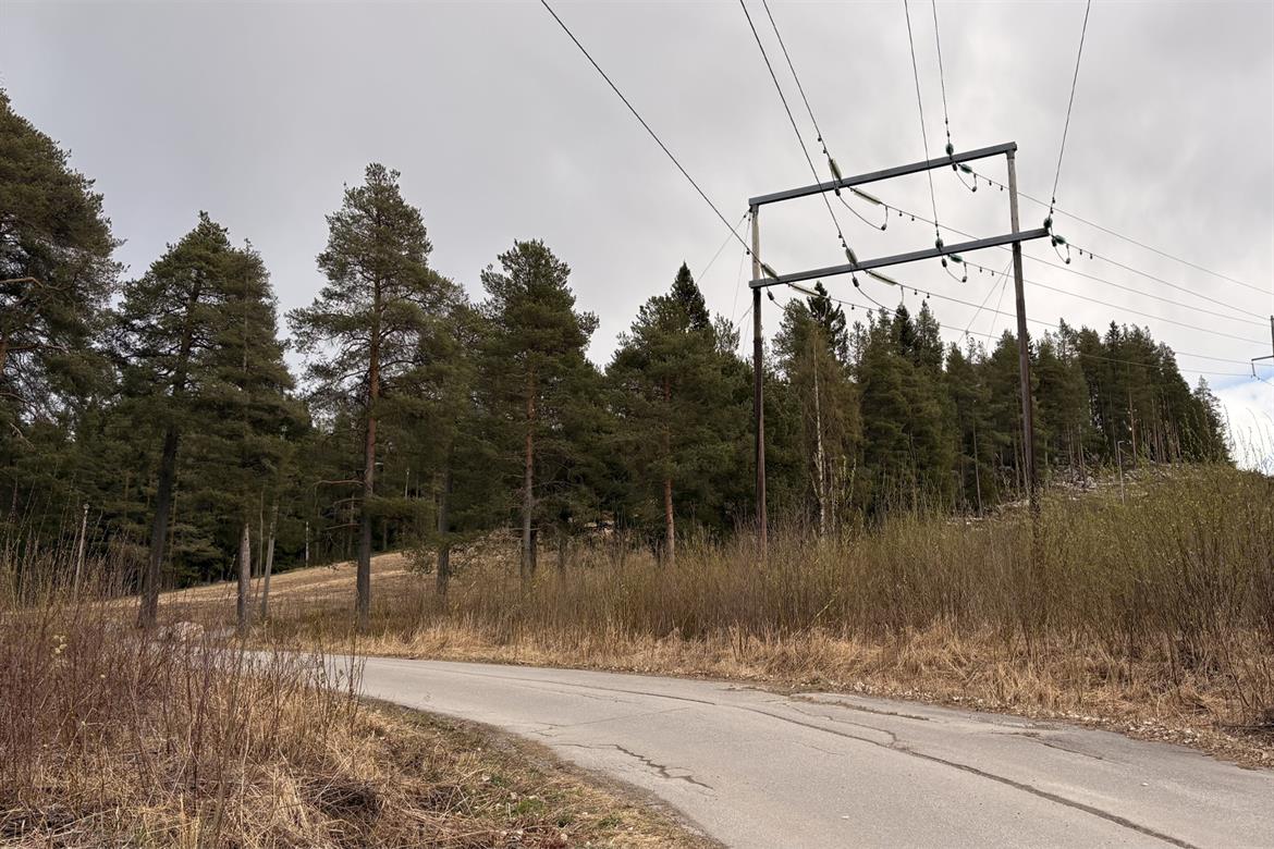 Strömlida