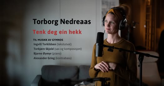 Tenk deg en hekk - Konsert