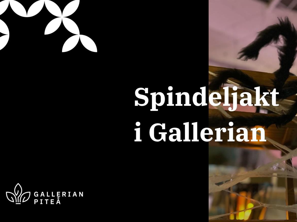 Spindeljakt i Gallerian