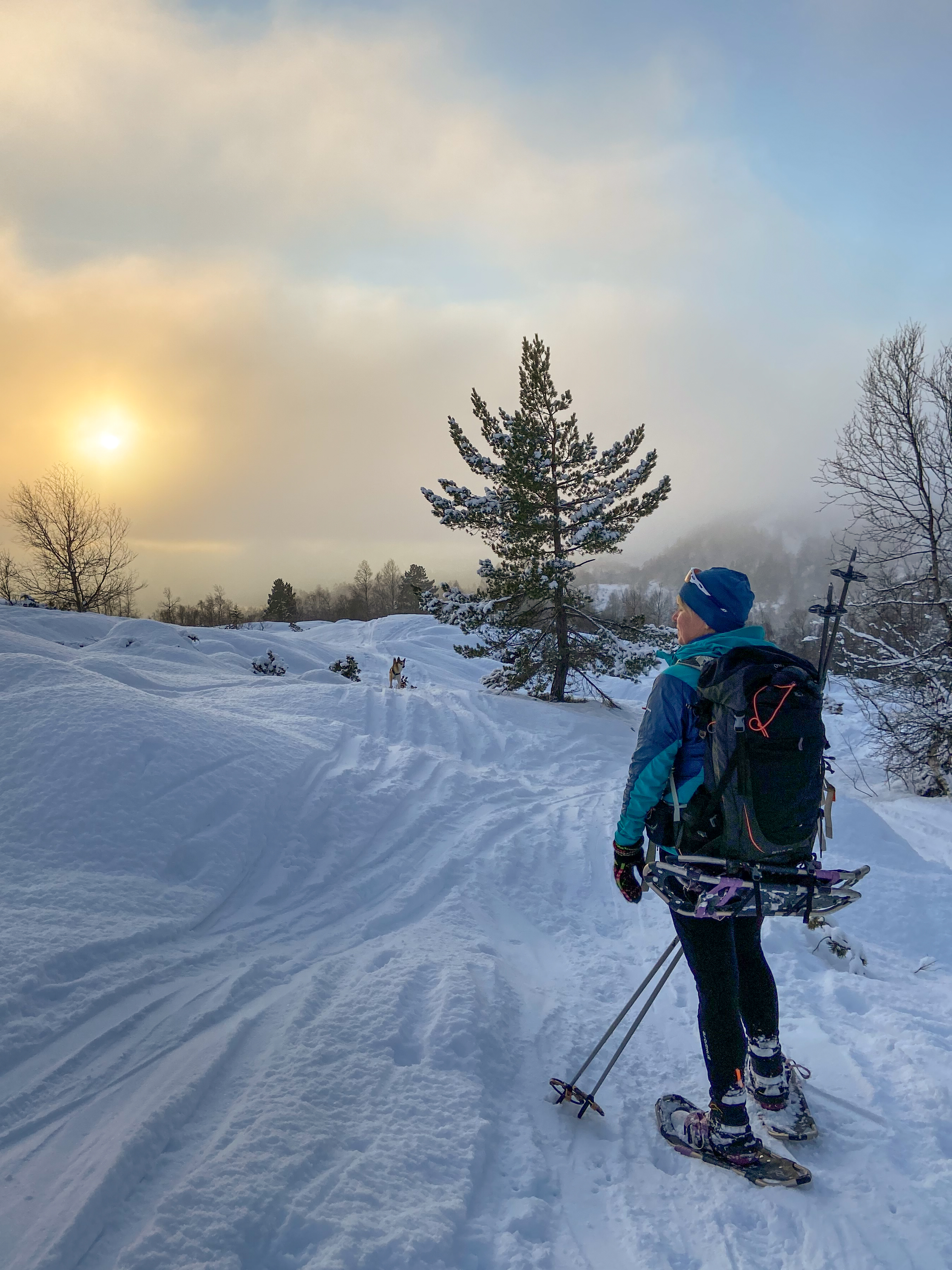 Guida trugetur i Norheimsund og Øystese - Hardangerfjord Adventure