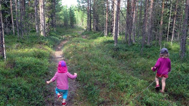 Vättestigen, Solanderleden/Hansi Gelter