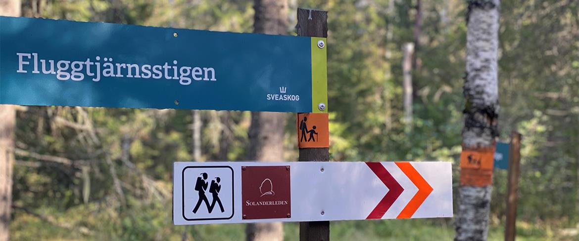 Fluggtjärnsstigen - skyltar längs leden