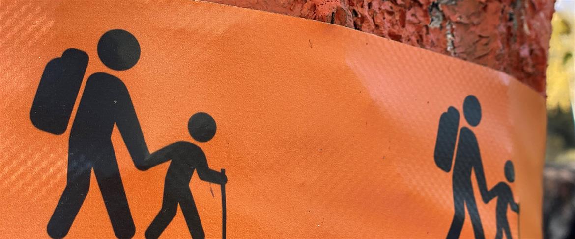 Vandringstecken på träd