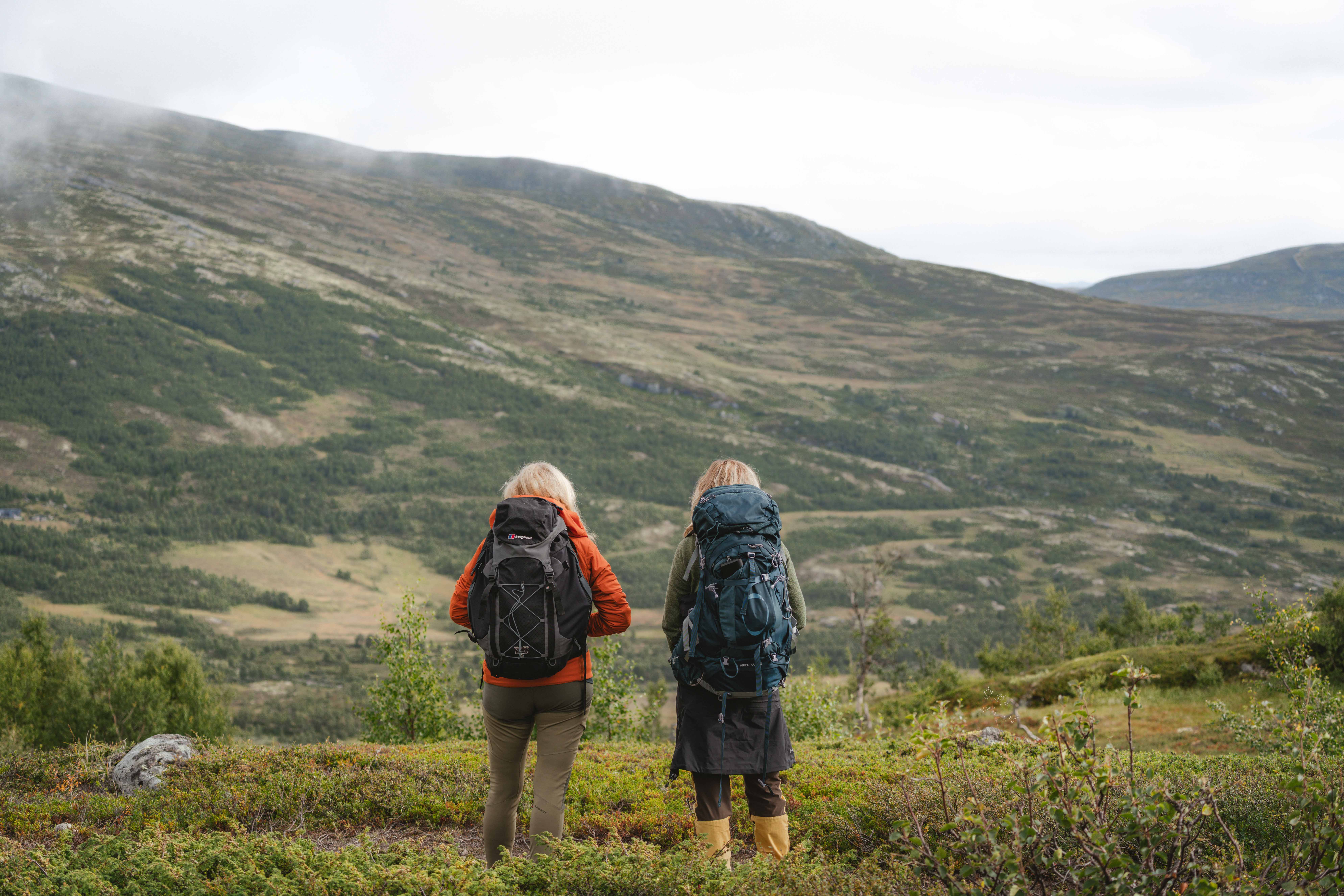 Hjølmaberget - Vivelid - Stavali oder Hedlo - Stavali