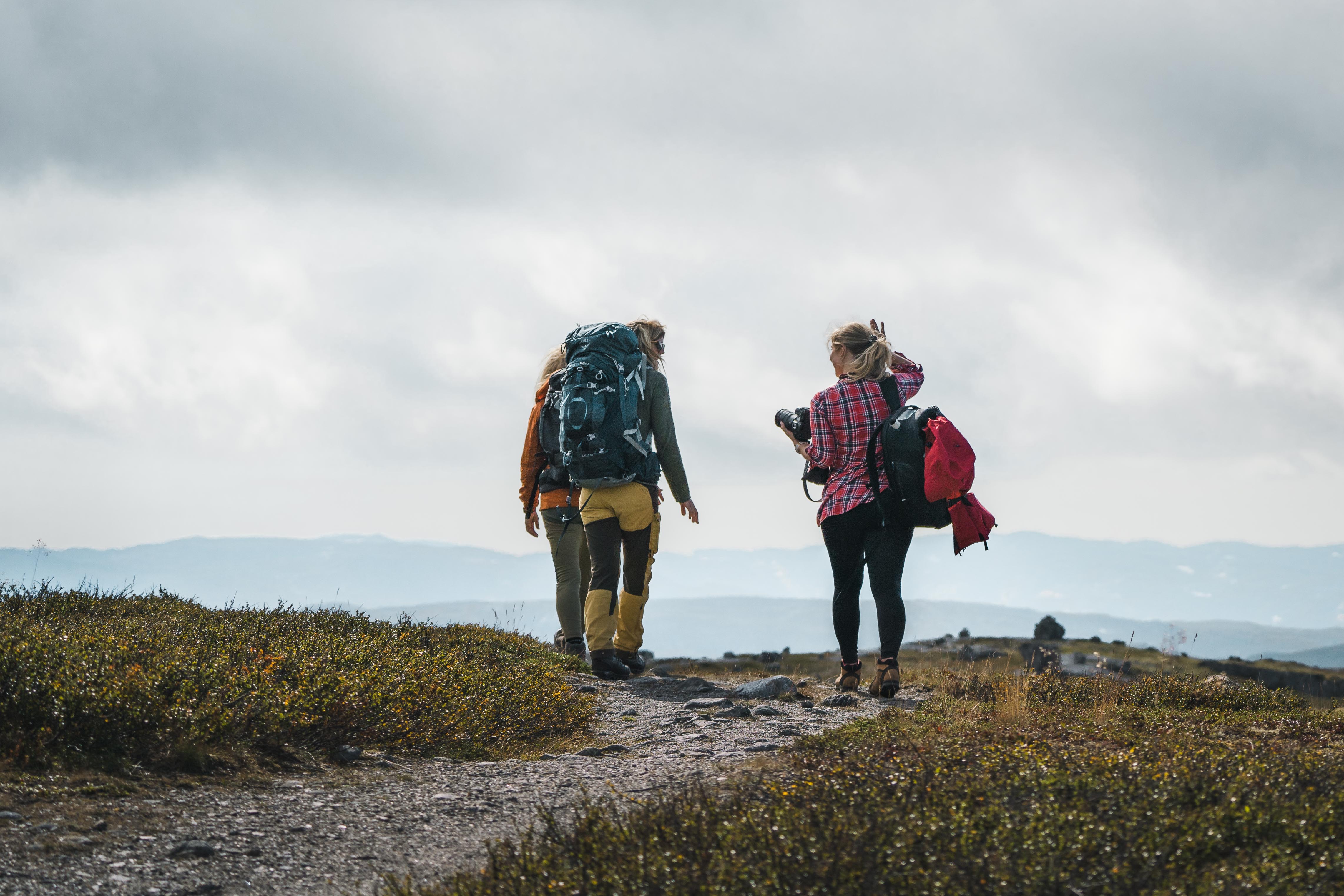 Halnekollen - guided summit hike at Hardangervidda