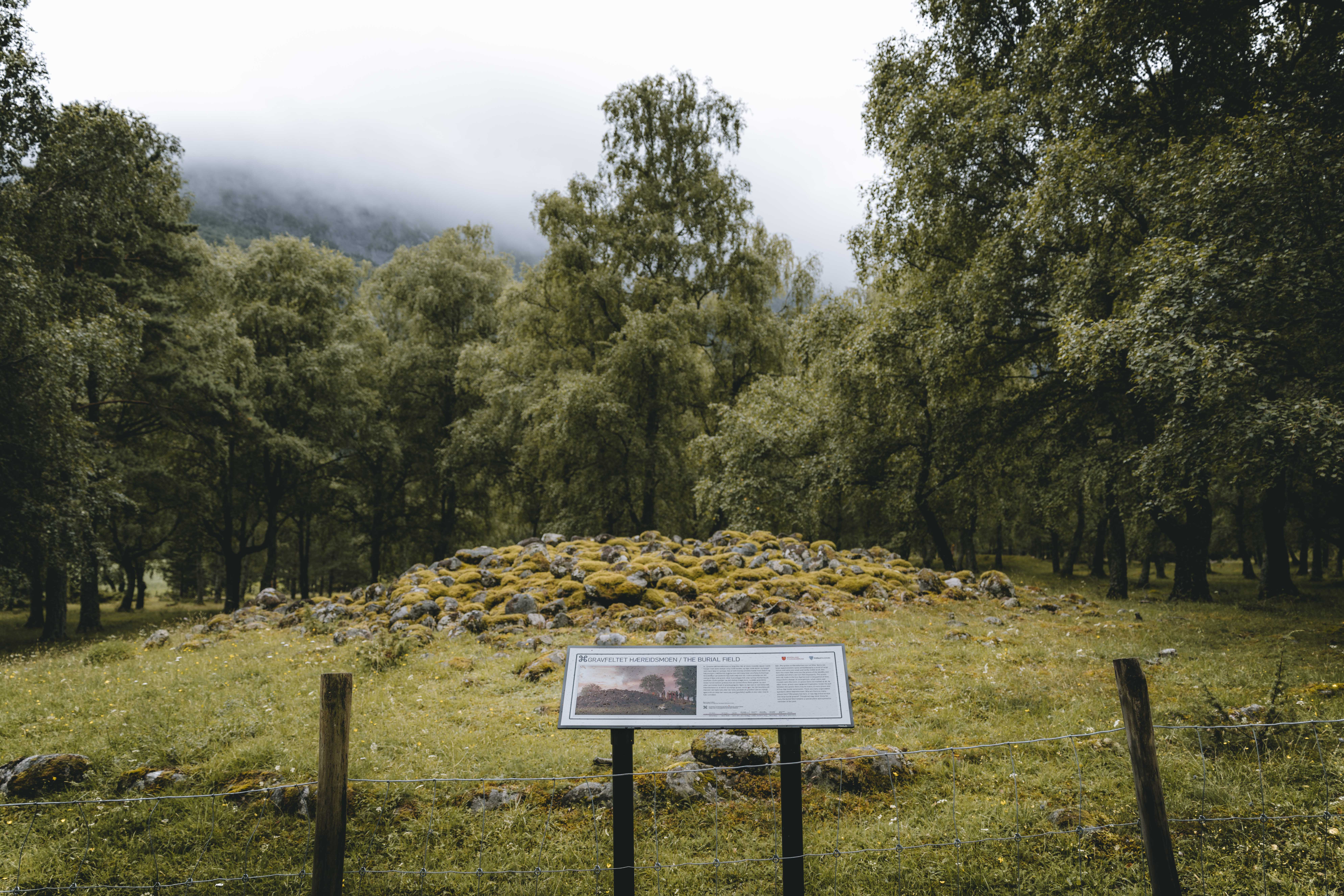 Hæreid Iron Age Burial Site