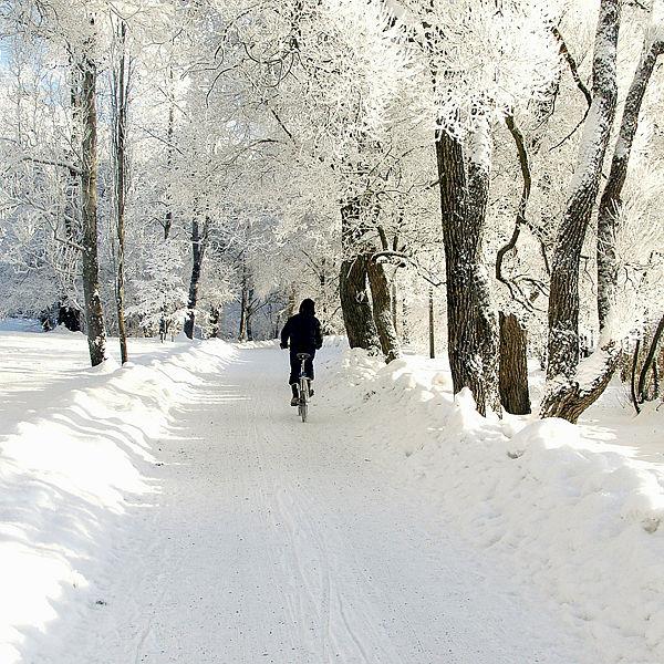 Plakat Vintersykkelfest på Vitenparken NB - PÅMELDING