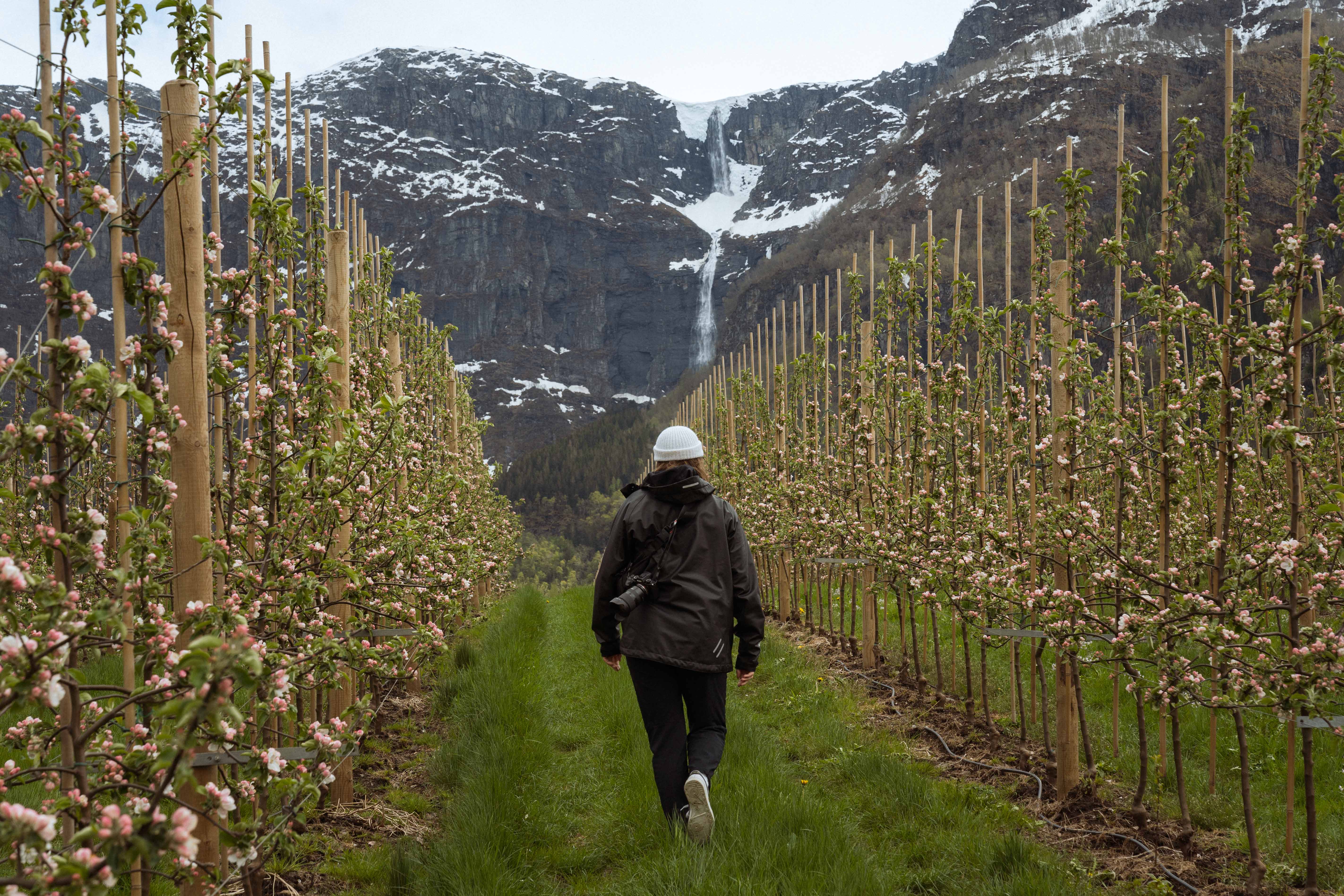 Fruit Trail