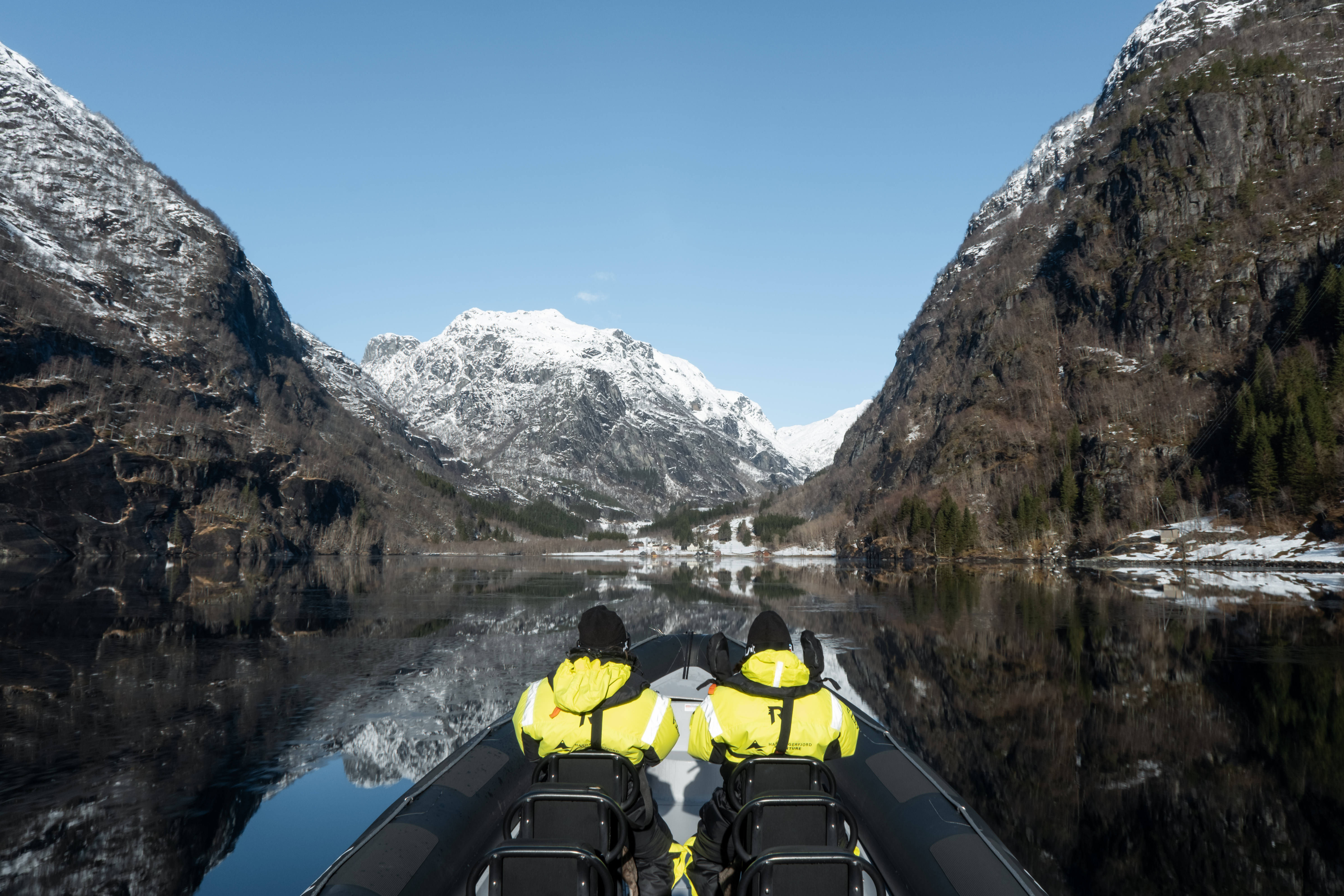 Hardangerfjord and Fyksesund Fjord Safari From Norheimsund