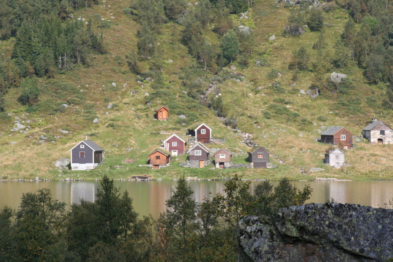 Botsvatn - Dåren