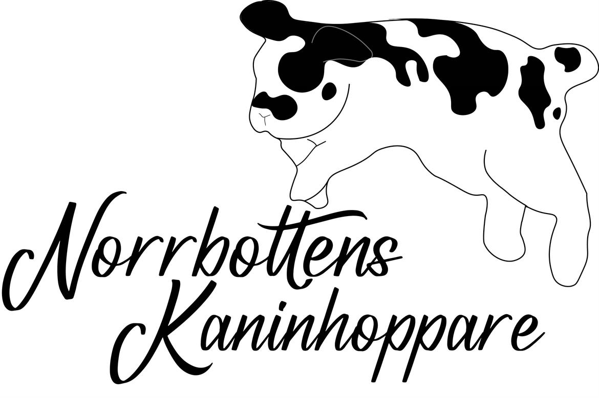Kaninhoppningstävling