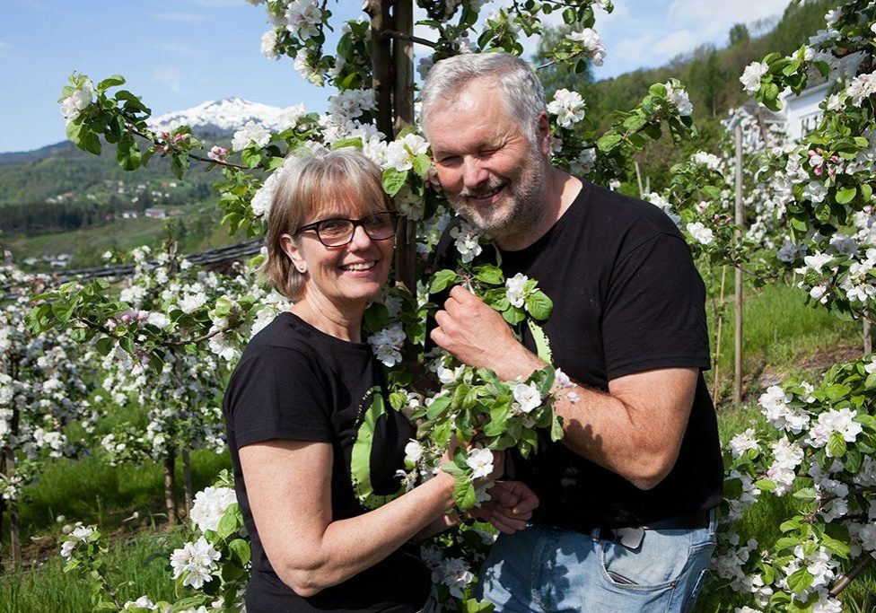 Ulvik Frukt & Cideri