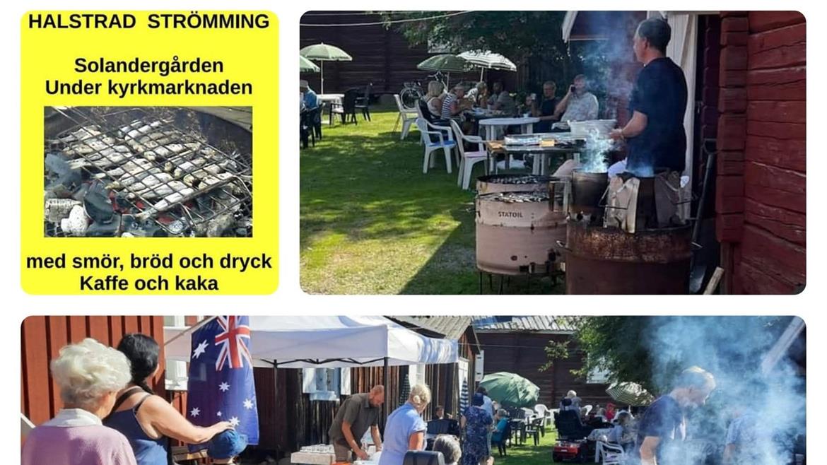 halstrad strömming