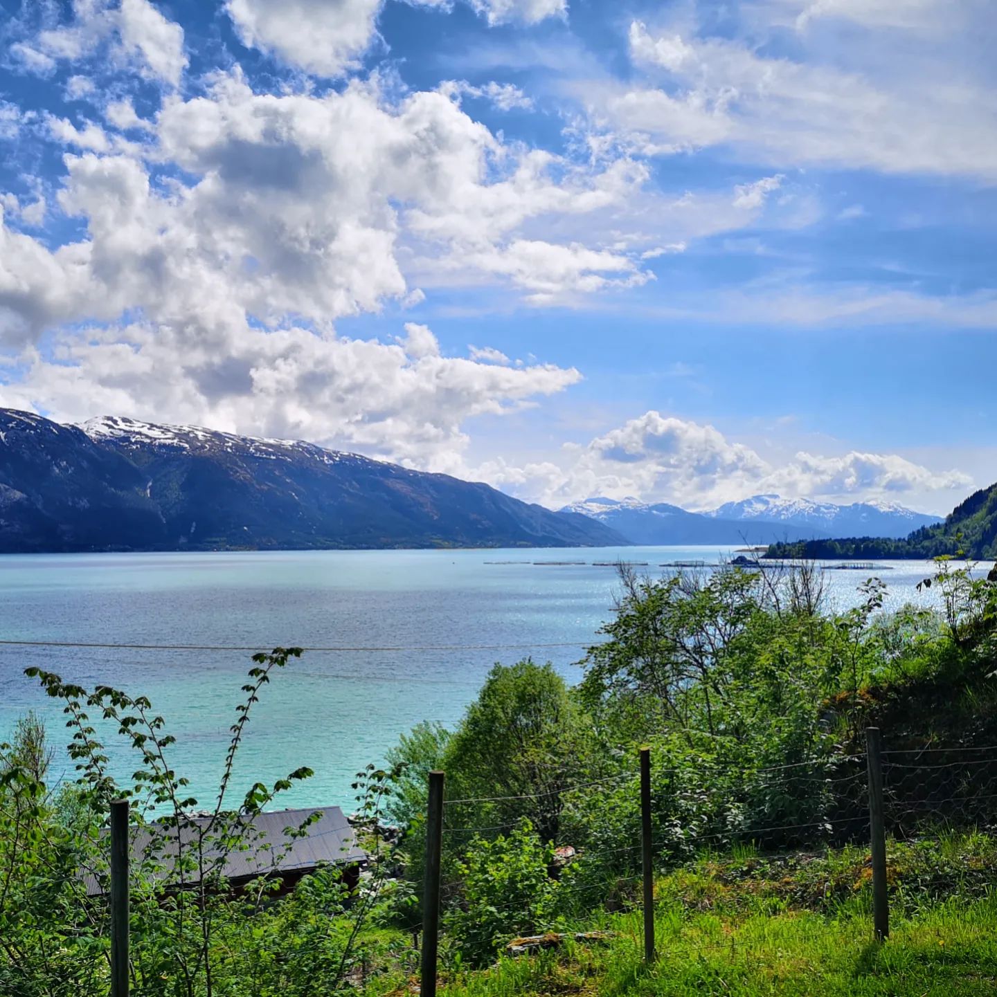 Haukanes Fjord Cabins