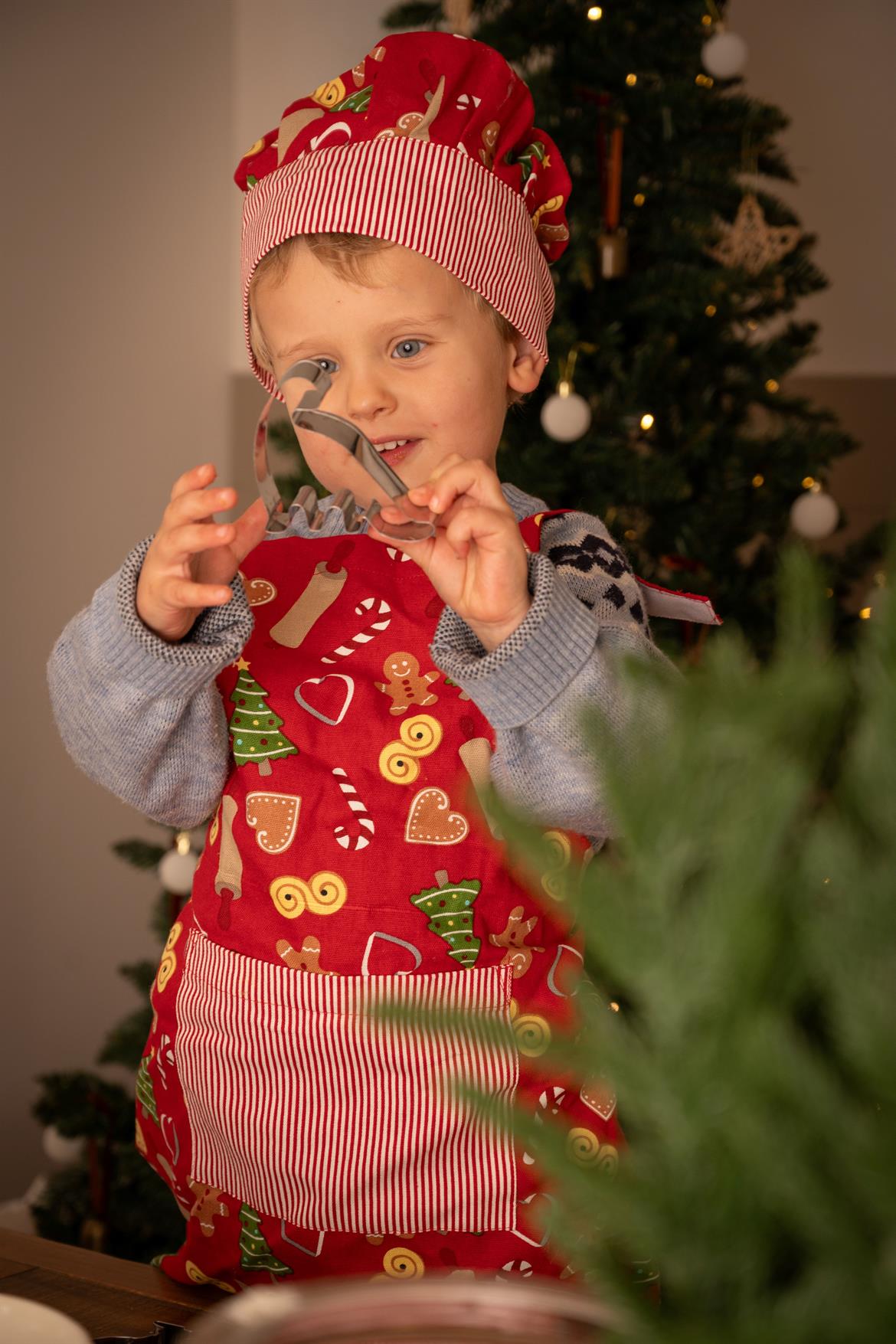 En idé om hur jultemat kommer att se ut