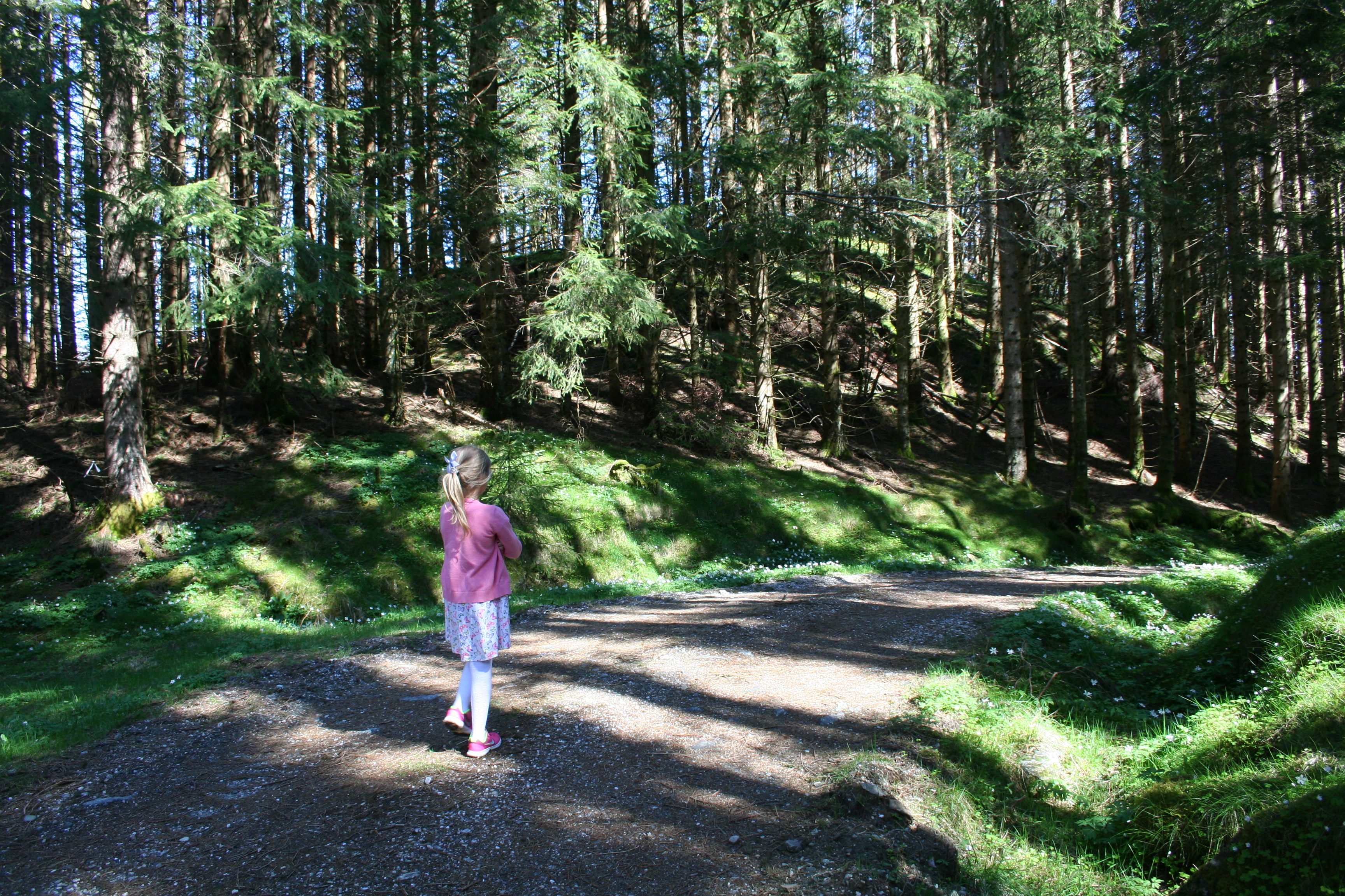 Melstveit - nice forest walk