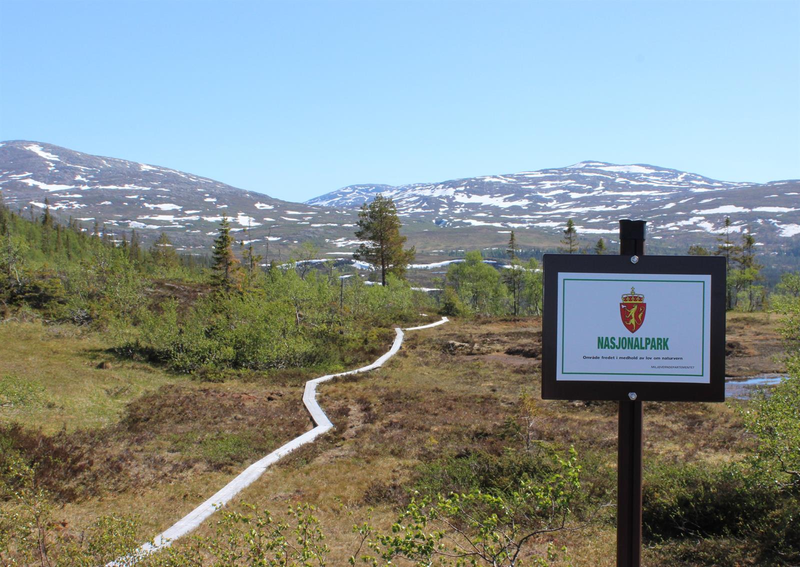 Hiking: Namskroken in Børgefjell National Park