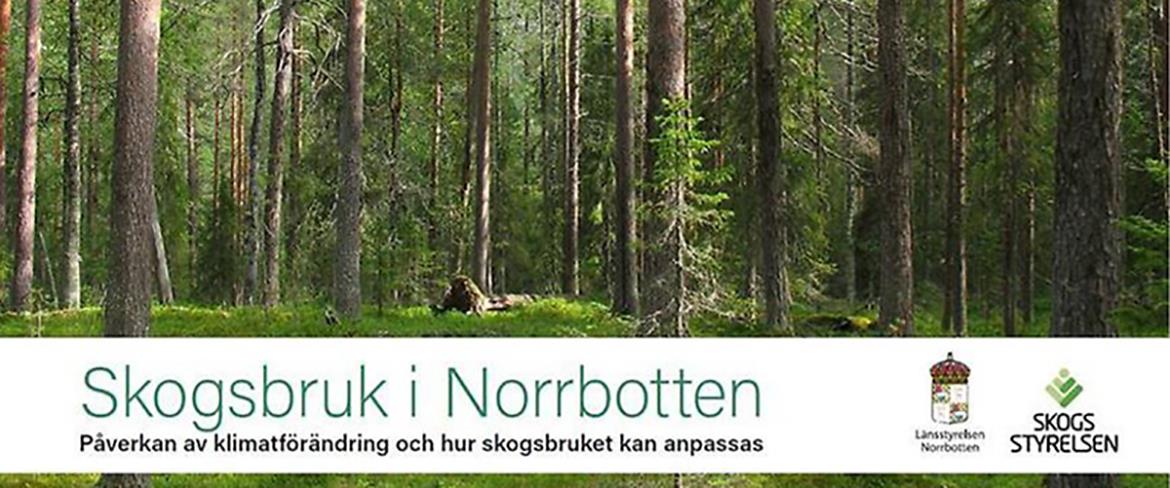 skogsbruk i Norrbotten