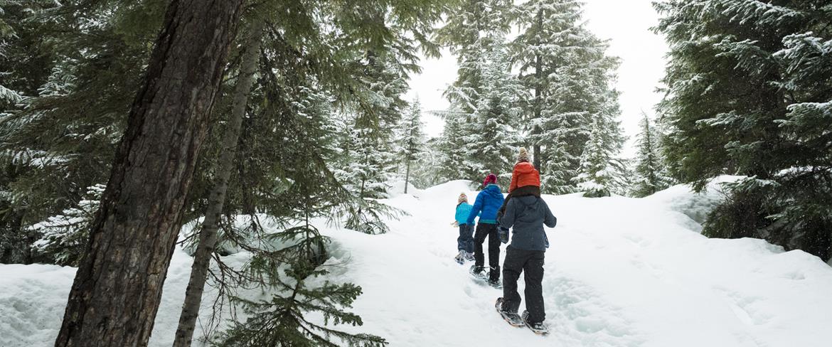 snöskor direct north travel 1170x488