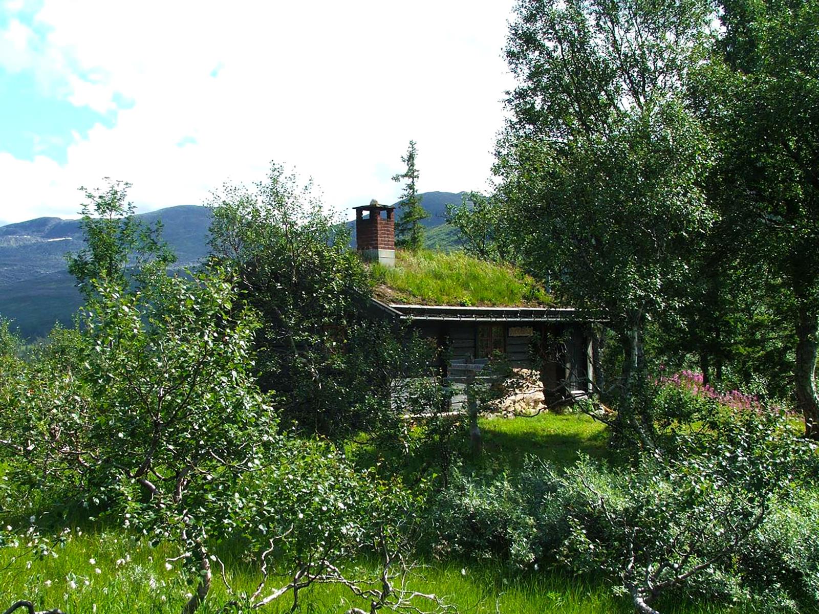 Skjækerosstua (Steinkjer Kommuneskoger)