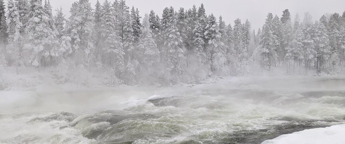 storforsen direct nordic travel 1170x488