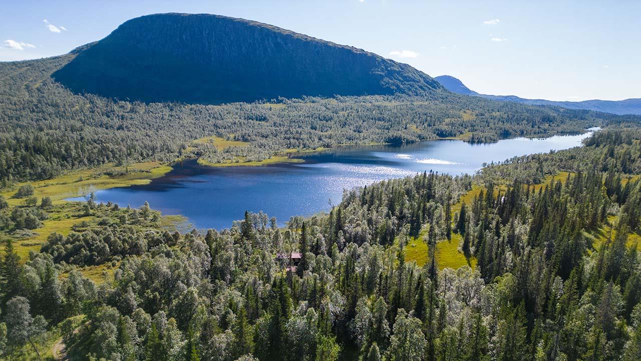 Fjelladelen Fjelladelen