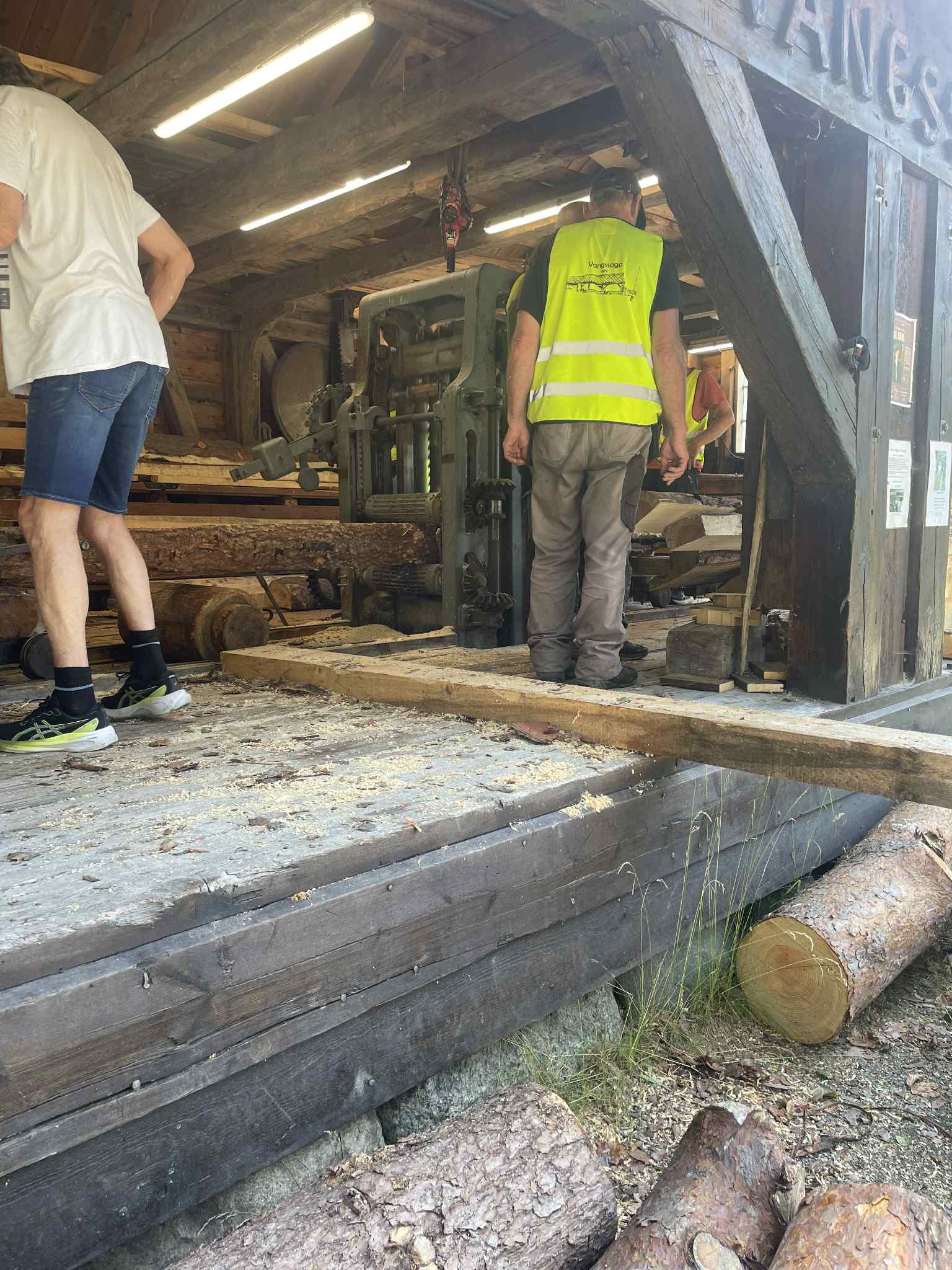 Vangssago i drift i Steinparken